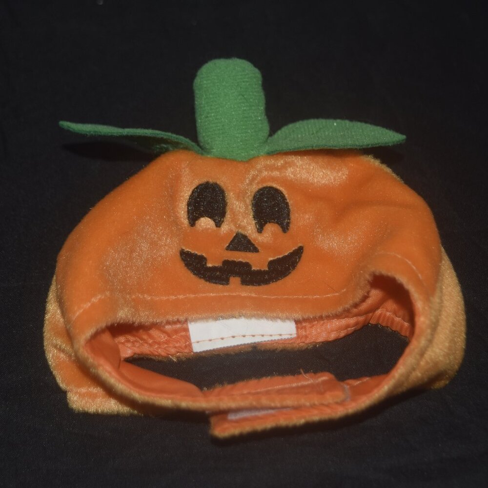 Meijer Halloween Pet Hat XS/S (4"-6") - Pumpkin